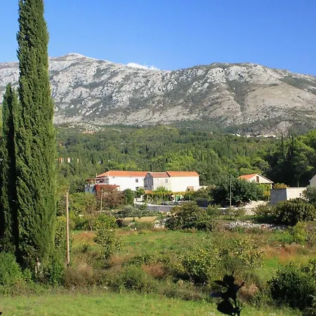 Villa Luxury With A Swimming Pool Zastolje, Dubrovnik - 14922 *