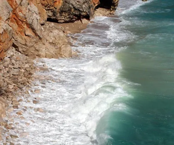 Villa Luxury With A Swimming Pool Zastolje, Dubrovnik - 14922
