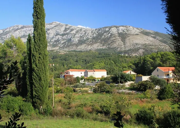 Villa Luxury With A Swimming Pool Zastolje, Dubrovnik - 14922 *