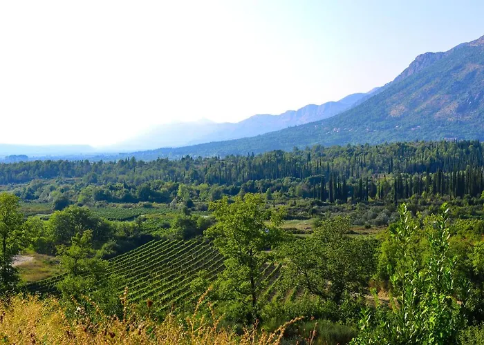 Villa Luxury With A Swimming Pool Zastolje, Dubrovnik - 14922 Gruda