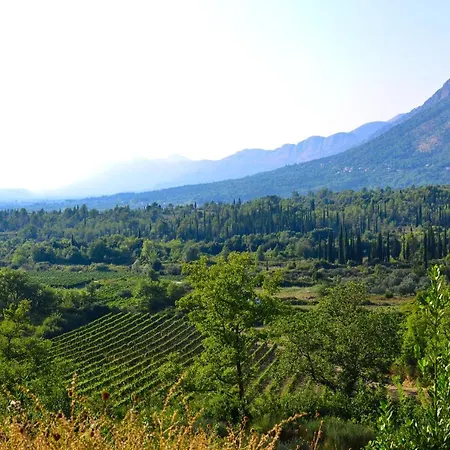 Villa Luxury With A Swimming Pool Zastolje, Dubrovnik - 14922 Gruda